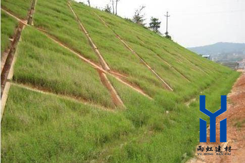 三維植被網(wǎng)http://m.0915dns.com/